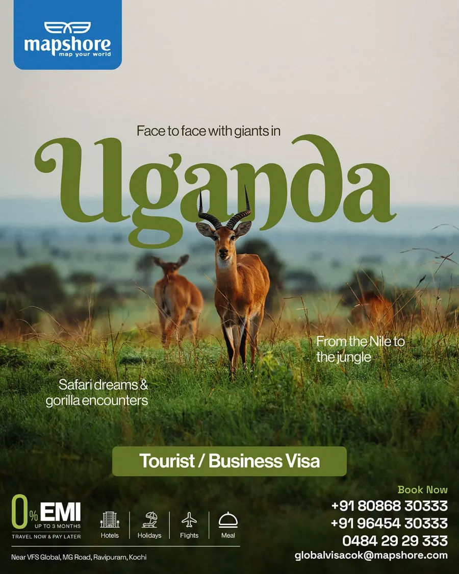 Savanna Tourism campaign