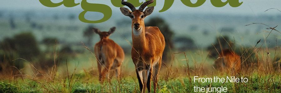 Savanna Tourism campaign